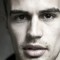 Theo James Photo