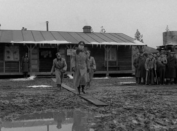 Stalag 17 (1953) download