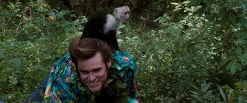 Ace Ventura: When Nature Calls (1995) download