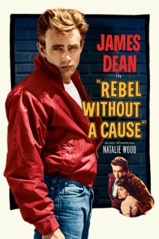 Rebel Without a Cause (2022) download