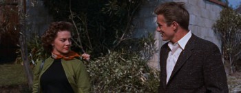 Rebel Without a Cause (1955) download