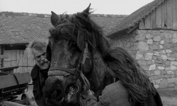 The Turin Horse (2011) download