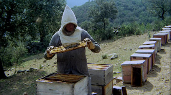 The Spirit of the Beehive (1973) download