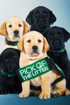 Pick of the Litter (2022) download