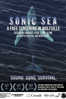 Sonic Sea (2022) download