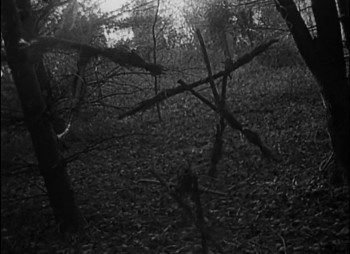 The Blair Witch Project (1999) download