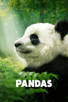 Pandas (2022) download