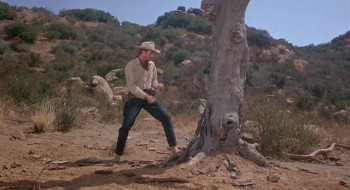 The Ride to Hangman's Tree (1967) download