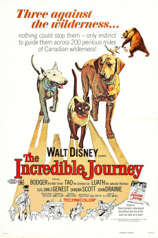 The Incredible Journey (2022) download