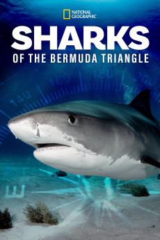Sharks of the Bermuda Triangle (2022) download