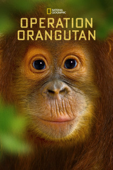 National Geographic Specials Operation Orangutan (2022) download