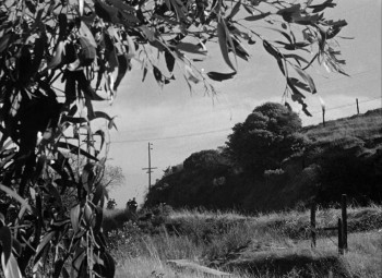 Dark Passage (1947) download