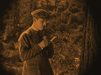 The Broken Butterfly (1919) download