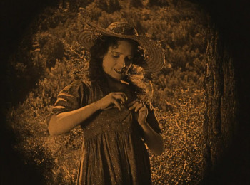 The Broken Butterfly (1919) download