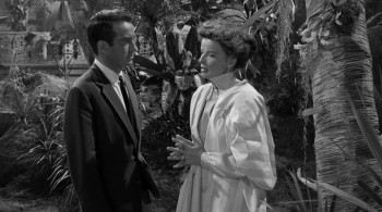 Suddenly, Last Summer (1959) download