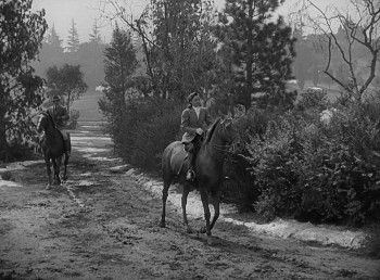 The Bride Wore Boots (1946) download