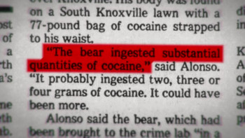 Blow: The True Story of Cocaine, a Bear, and a Crooked Kentucky Cop (2023) download