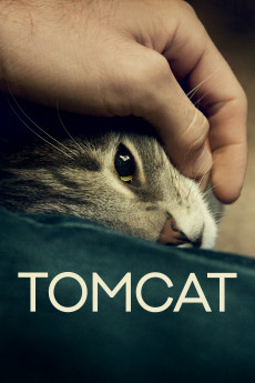 Tomcat (2022) download