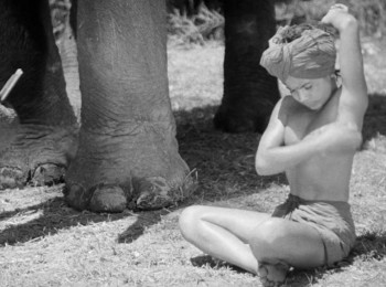 Elephant Boy (1937) download