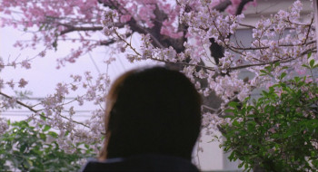 Honey & Clover (2006) download