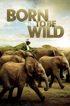 Born to Be Wild (2022) download