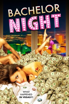 Bachelor Night (2022) download