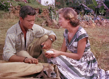 Ivory Hunter (1951) download