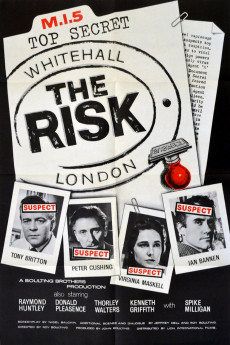 The Risk (2022) download