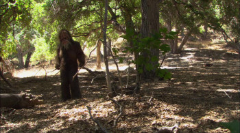 Bigfoot (2009) download