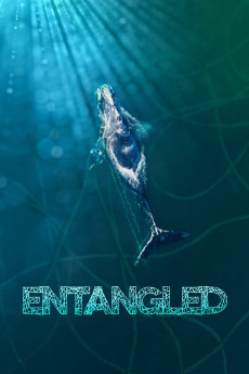 Entangled: The Race to Save Right Whales from Extinction (2022) download