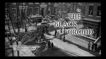 The Black Orchid (1958) download