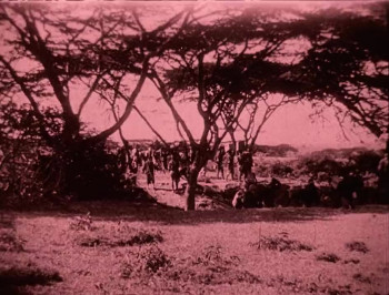 Ingagi (1930) download