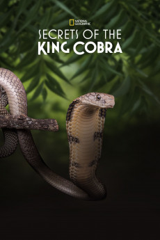 Secrets of the King Cobra (2022) download