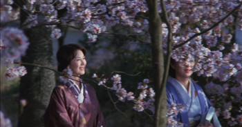 The Makioka Sisters (1983) download