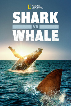 Shark vs. Whale (2022) download