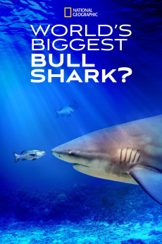 World's Biggest Bull Shark (2021) download