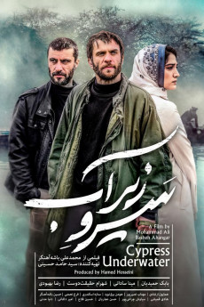 Cypress Under Water (2022) download