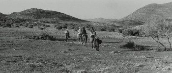 The Taste of Violence (1961) download