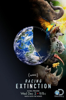 Racing Extinction (2015) download