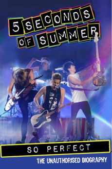 5 Seconds of Summer: So Perfect (2014) download