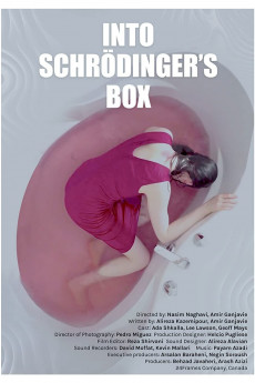 Into Schrodinger's Box (2022) download