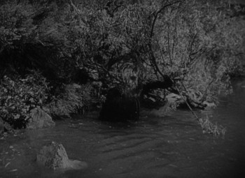 The Capture (1950) download