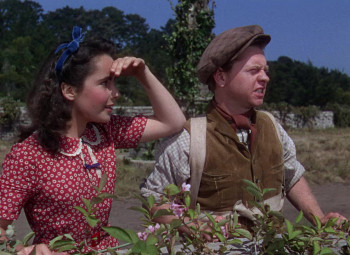 National Velvet (1944) download