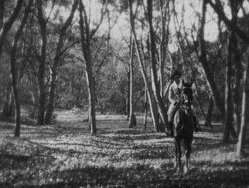 Kentucky Pride (1925) download