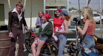 Cycle Vixens (1978) download