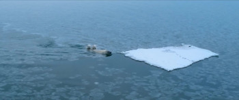 Polar Bear (2022) download