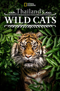 Thailand's Wild Cats (2022) download