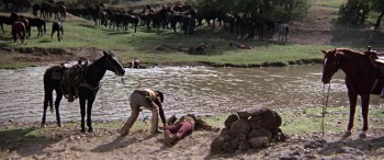 Chisum (1970) download