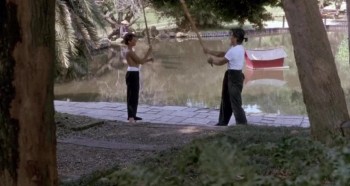 American Ninja 4: The Annihilation (1990) download