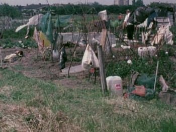 On Allotments (1976) download